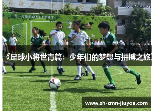 《足球小将世青篇：少年们的梦想与拼搏之旅》
