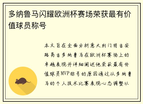 多纳鲁马闪耀欧洲杯赛场荣获最有价值球员称号
